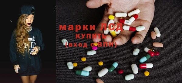 ешки Вяземский