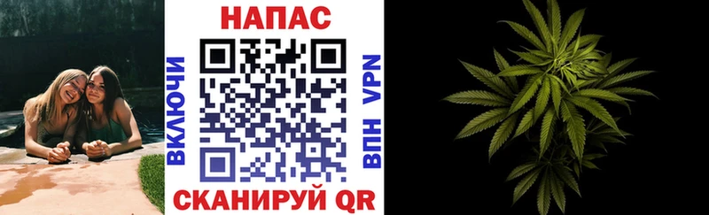 Бошки марихуана Amnesia  как найти закладки  Калач 